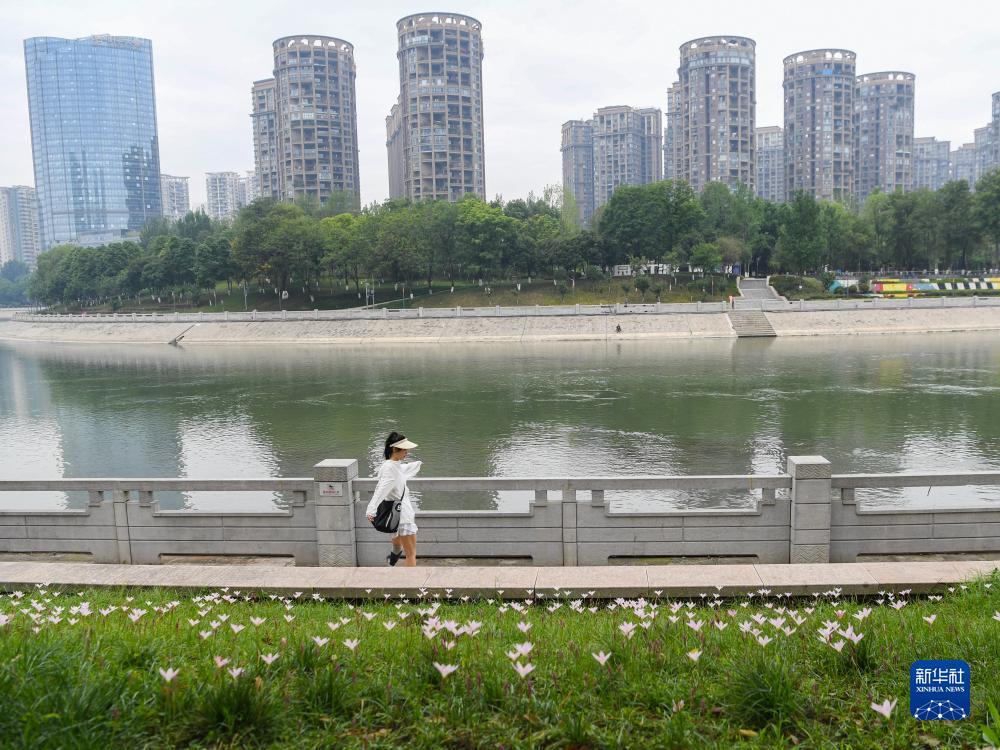水果机怎么打好下分